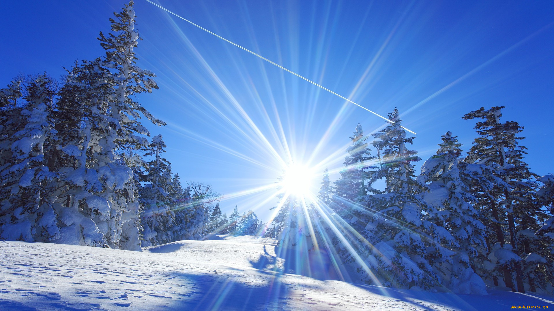 Солнечный день январь. Зима солнце. Солнечный зимний день. Зимний пейзаж с солнцем. Яркое солнце зимой.
